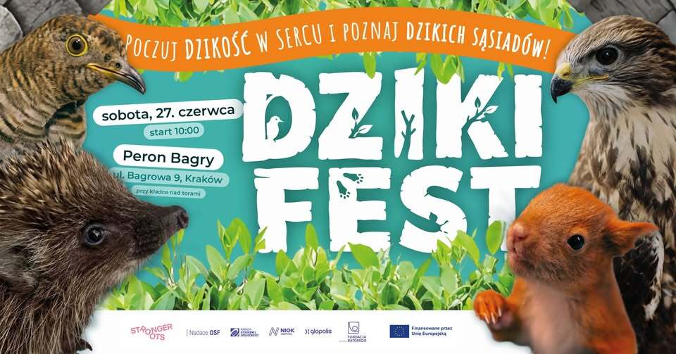 🌿 Dziki fest 🌿 // 13. urodziny Akcji dla Dzikich Zwierząt
